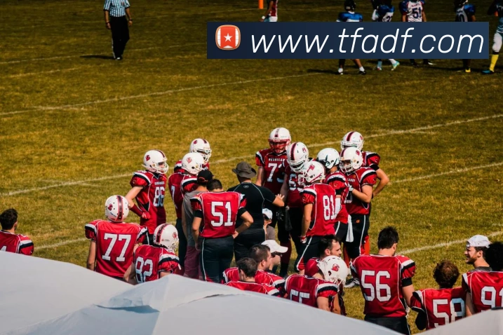 巅峰国际平台生态图